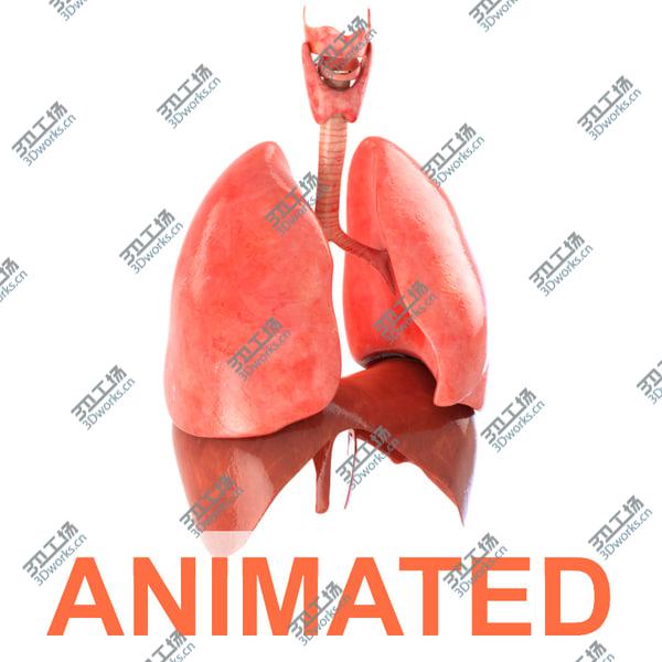 images/goods_img/20210312/Lungs animated/1.jpg